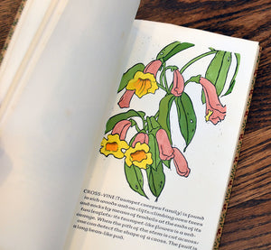 [Anvil Press] A Wild Flower Book