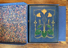 Load image into Gallery viewer, [Fine Binding | Cedric Chivers] World&#39;s Children
