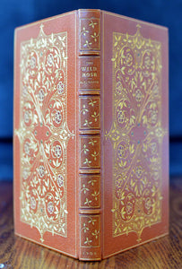 [Fine Binding | Art Nouveau] The Wild Rose