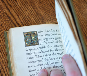 [Illuminated | Blue Sky Press] The Burial of Romeo and Juliet