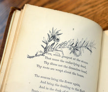 Load image into Gallery viewer, [Extra Illustrated by Caroline Martineau] In Memoriam
