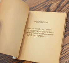 Load image into Gallery viewer, [Private Press] Shining Grass
