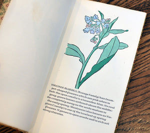 [Anvil Press] A Wild Flower Book