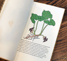 Load image into Gallery viewer, [Anvil Press] A Wild Flower Book
