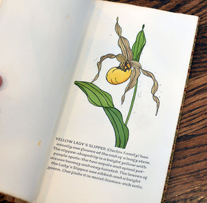 [Anvil Press] A Wild Flower Book