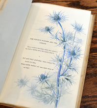 Load image into Gallery viewer, [Extra Illustrated with Original Watercolors] The Death of Oenone
