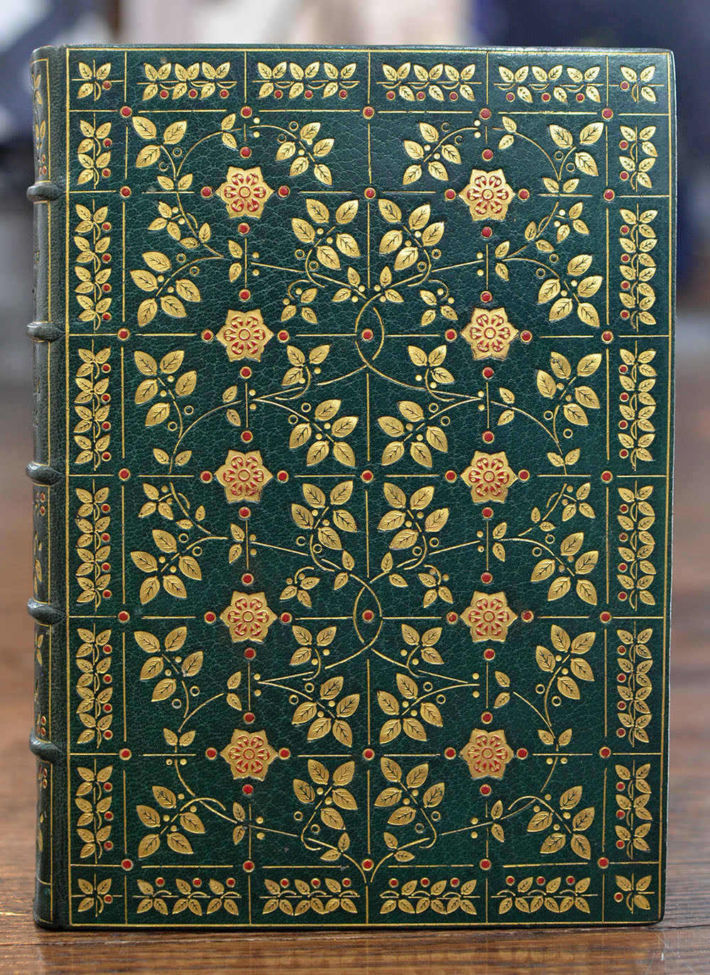 [Fine Binding | S. Barnard & L. Hay Cooper] The Hollow Land
