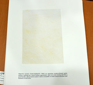 [Vellum Samples] Specimens of Parchment with Notes by Ronald Reed
